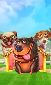 The Dog House