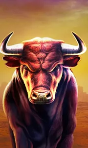 Black Bull